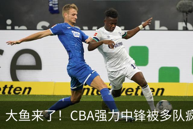 大鱼来了！CBA强力中锋被多队疯抢，或加盟广东队驰援杜锋？