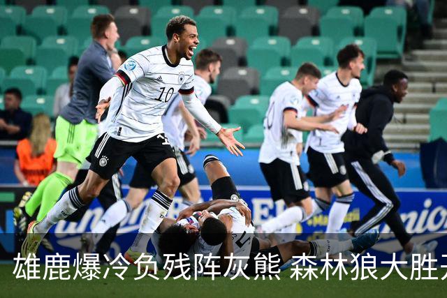 雄鹿爆冷负残阵灰熊 森林狼大胜开拓者4连胜
